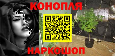 гидропоника Кулебаки